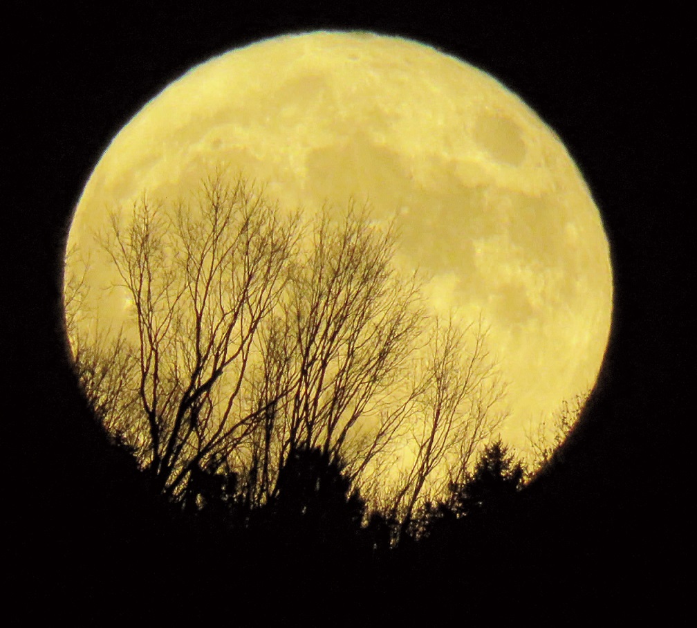 SUPER MOON: Tina Richard, of Clinton, was on the spot to get this photo of the Super Moon on Nov. 14.