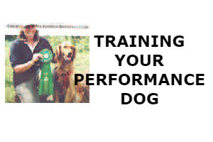 TRAINING YOUR PERFORMANCE DOG