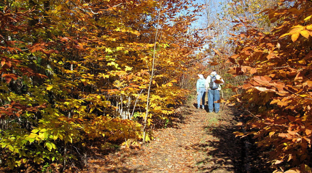 Hikers-and-fall-foliage-large