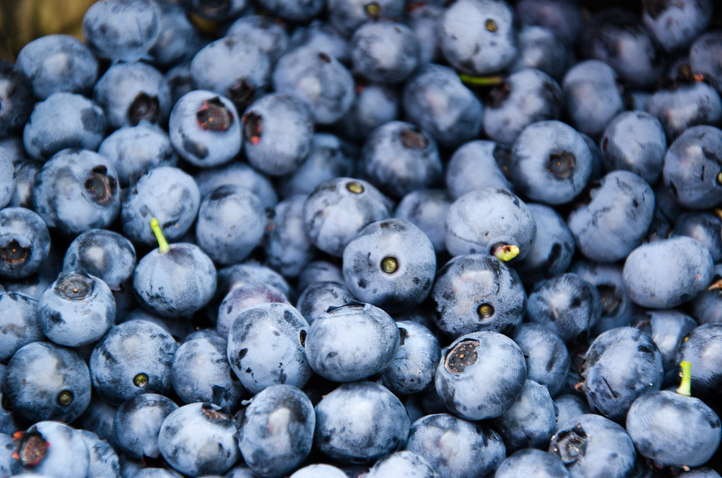 Delightful “All Things Blueberry” festival promises loads of family fun!