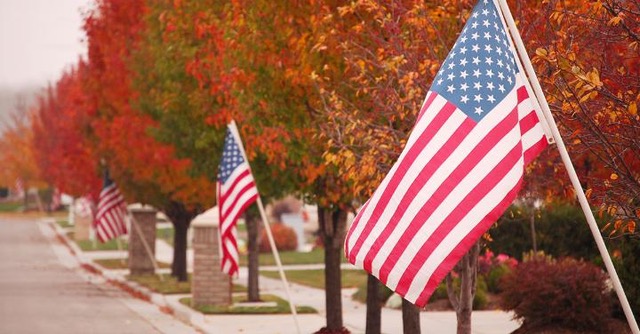 AARP Veterans Day flags