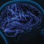 FOR YOUR HEALTH: Restoring Plasticity Could Be The Secret To Reversing Brain Damage