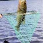 FISHY PHOTO: Netting a good one