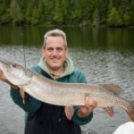 Northern pike Large