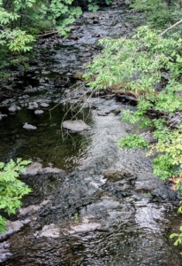 Webber Pond water levels dropping