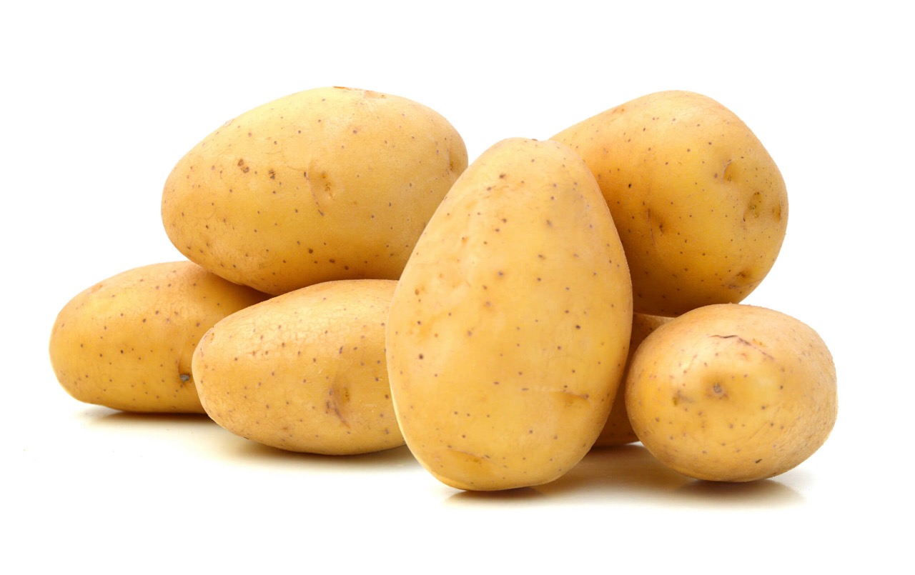 MAINE-LY GARDENING: What’s in the Garden? Potatoes!