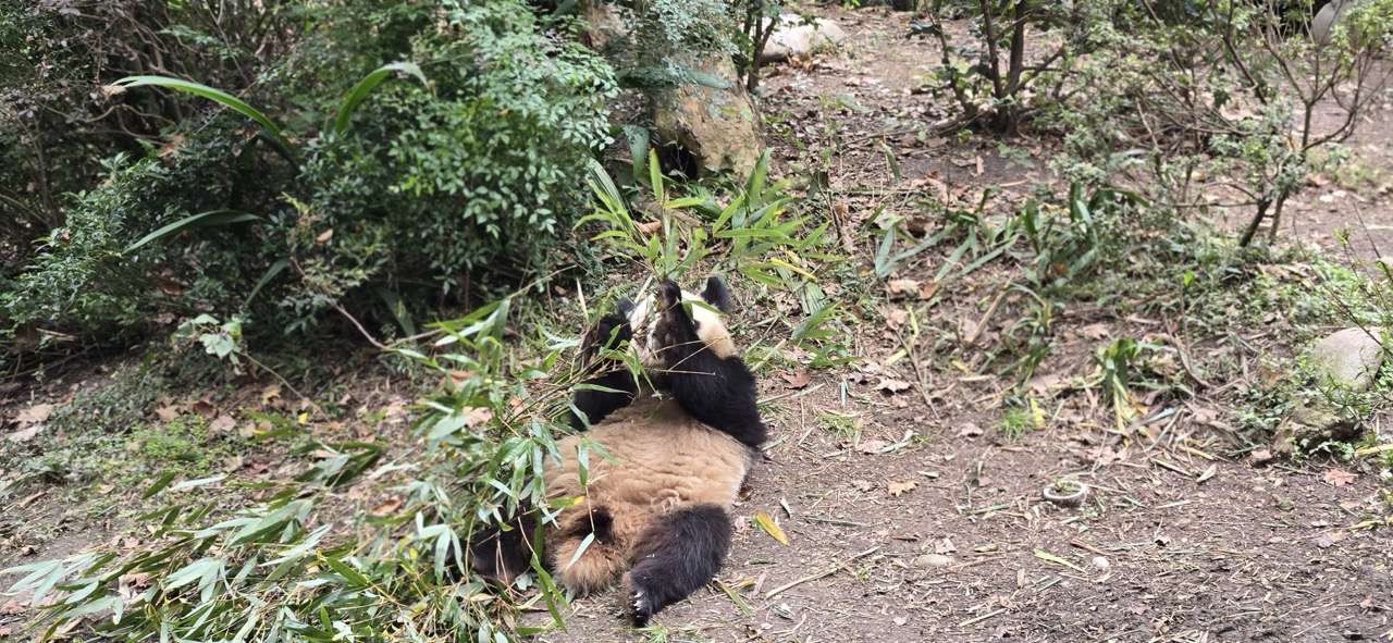 Louisa Barnhart speaks about Asian trip